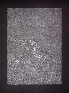 Image description is not available for 2024.229